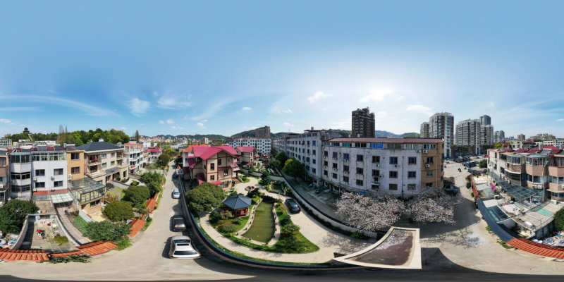 浙江省温岭市太平街道花园新村樱花(2022.3)